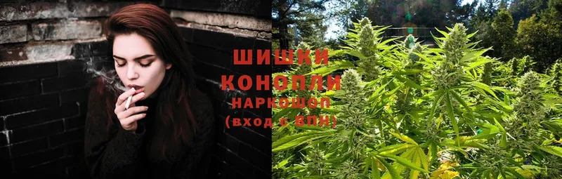 даркнет как зайти  купить наркотики сайты  Бор  Канабис White Widow 